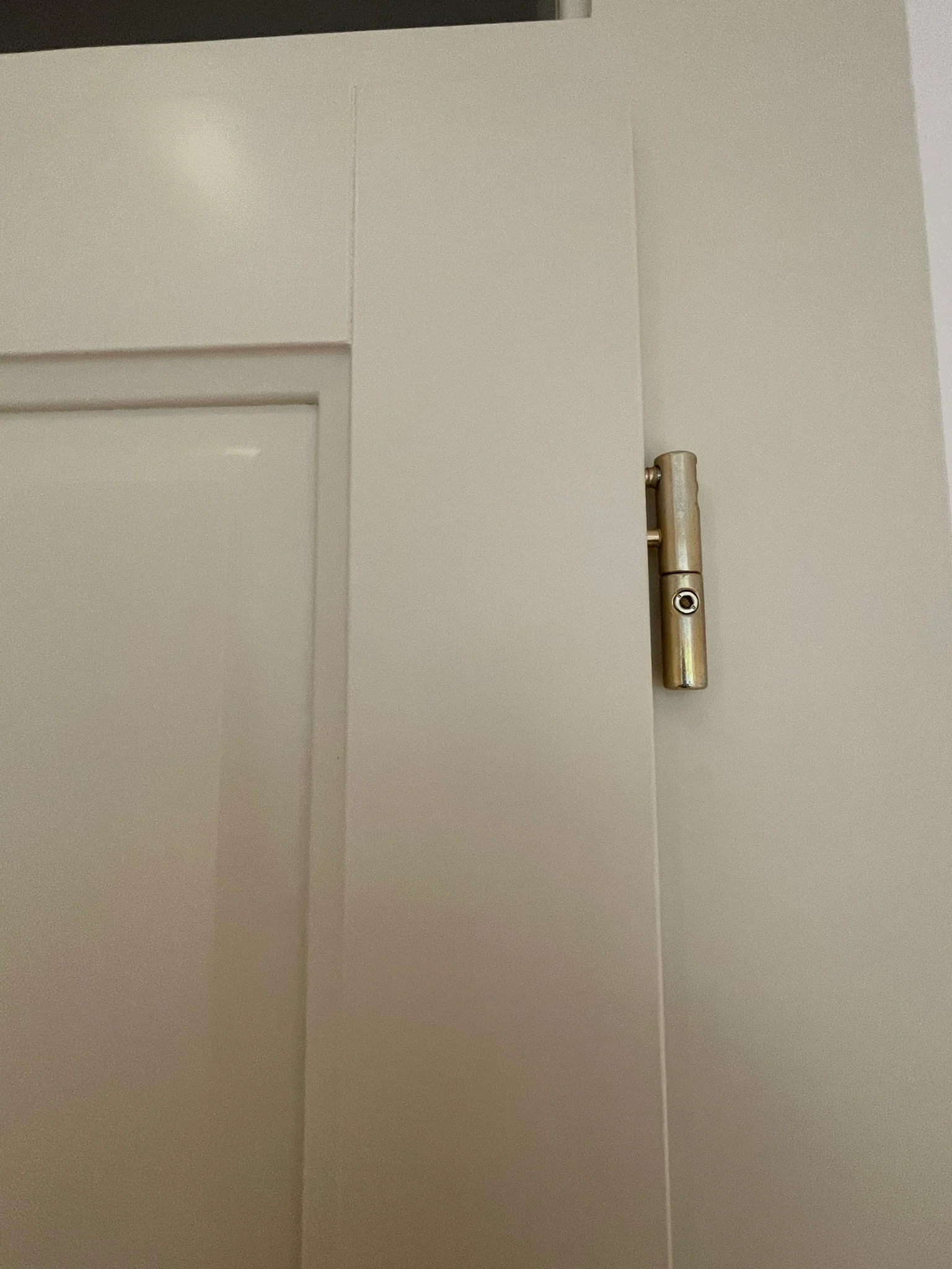 Bílé masivní dveřní křídlo s mosazným pantem