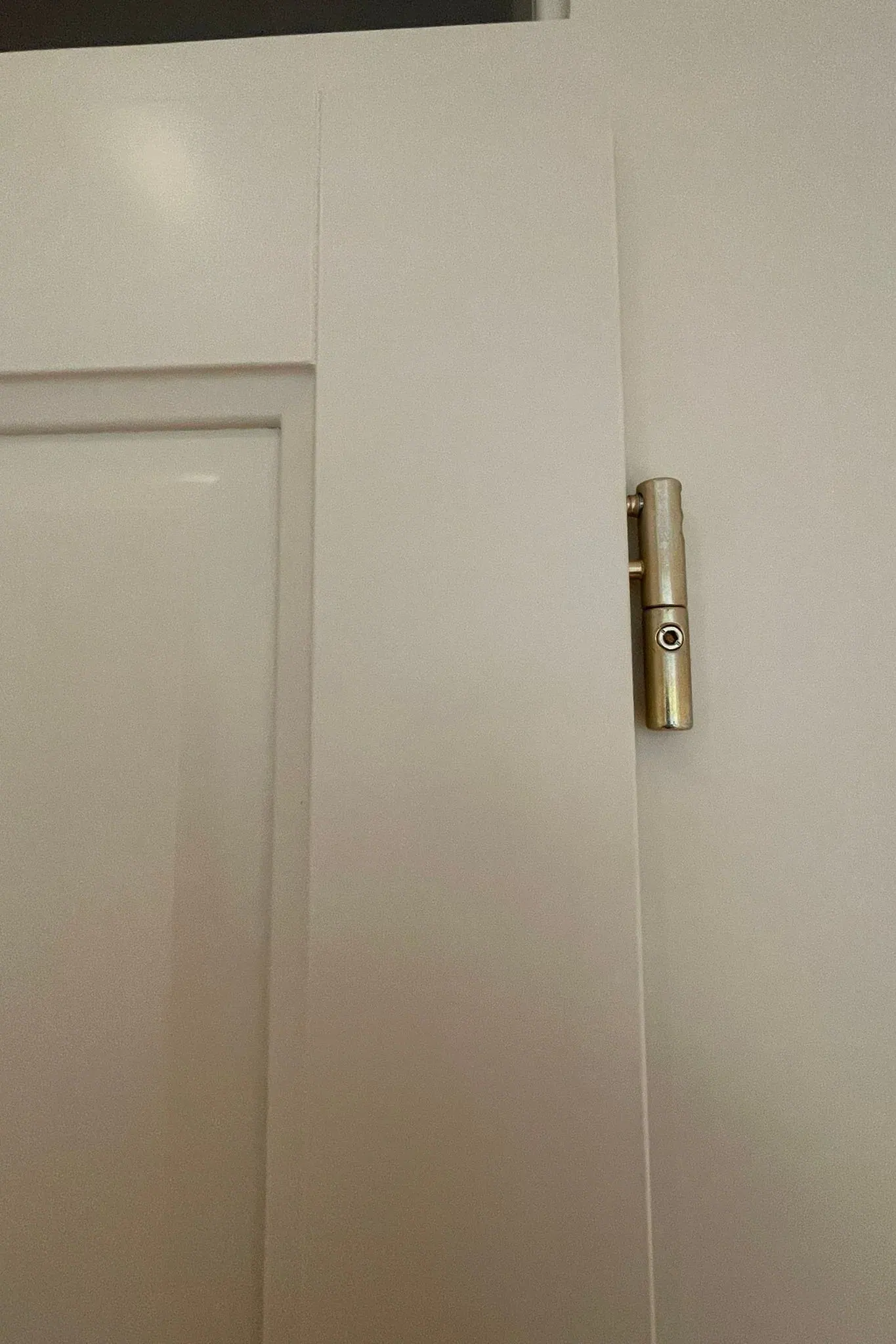 Bílé masivní dveřní křídlo s mosazným pantem